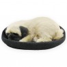 Perro Pug En Camita Con Ronquido