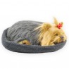 Perrita Yorkie En Camita Con Ronquido